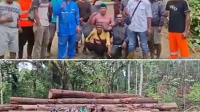 JAGAD Urges Central Government to Take Firm Action Against PT Nusa Padma Over Alleged Forest and Coastal Damage in South Buru JAGAD Urges Central Government to Take Firm Action Against PT Nusa Padma Over Alleged Forest and Coastal Damage in South Buru