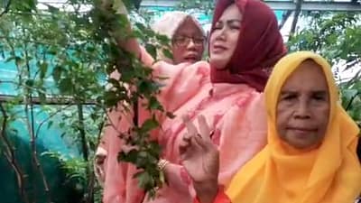 KPPG Bekasi Regency Boosts Food Security and Women’s Economy Through Crop Planting Movement and MSME Empowerment KPPG Bekasi Regency Boosts Food Security and Women’s Economy Through Crop Planting Movement and MSME Empowerment